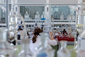 Análisis por Sectores: Quién Paga y Quién No en el Verano de 2025